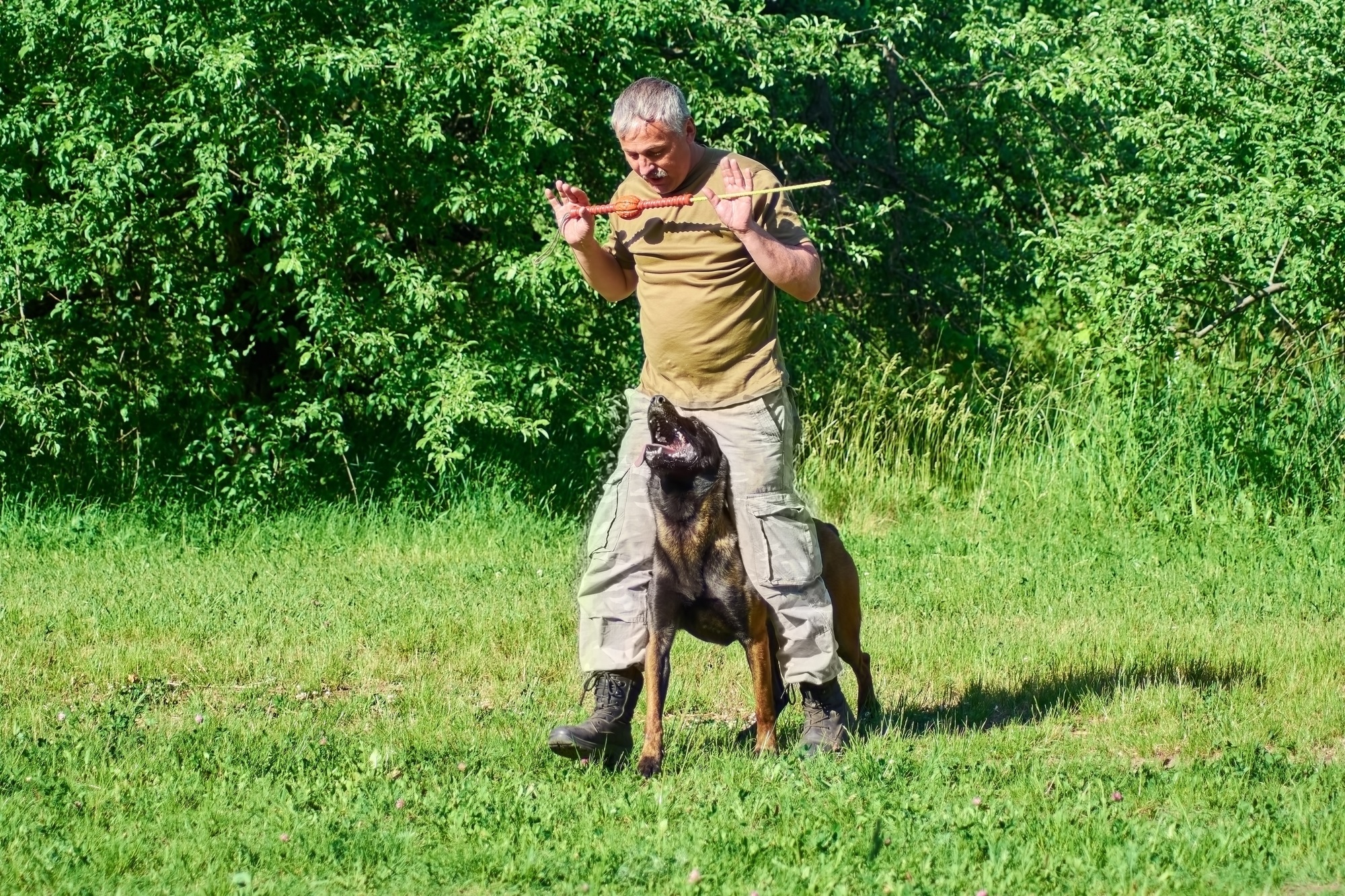 The man is training the dog
