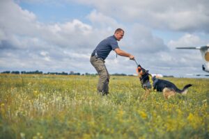 Le dressage des chiens de chasse : un art à maîtriser pour le plaisir de la chasse