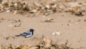 Pourquoi investir dans les meilleures SCPI pour débuter votre aventure immobilière ?