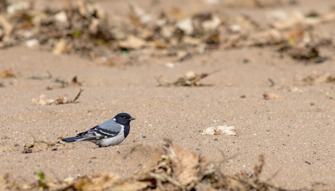 découvrez pourquoi investir dans les meilleures scpi est la clé pour réussir votre premier projet immobilier en toute sérénité et optimiser vos rendements.